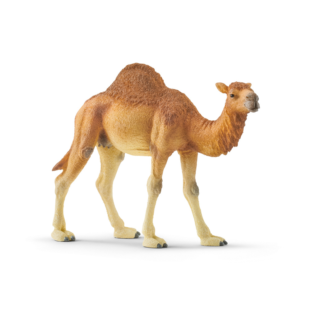 Schleich 14832 Zvířátko - dromedár