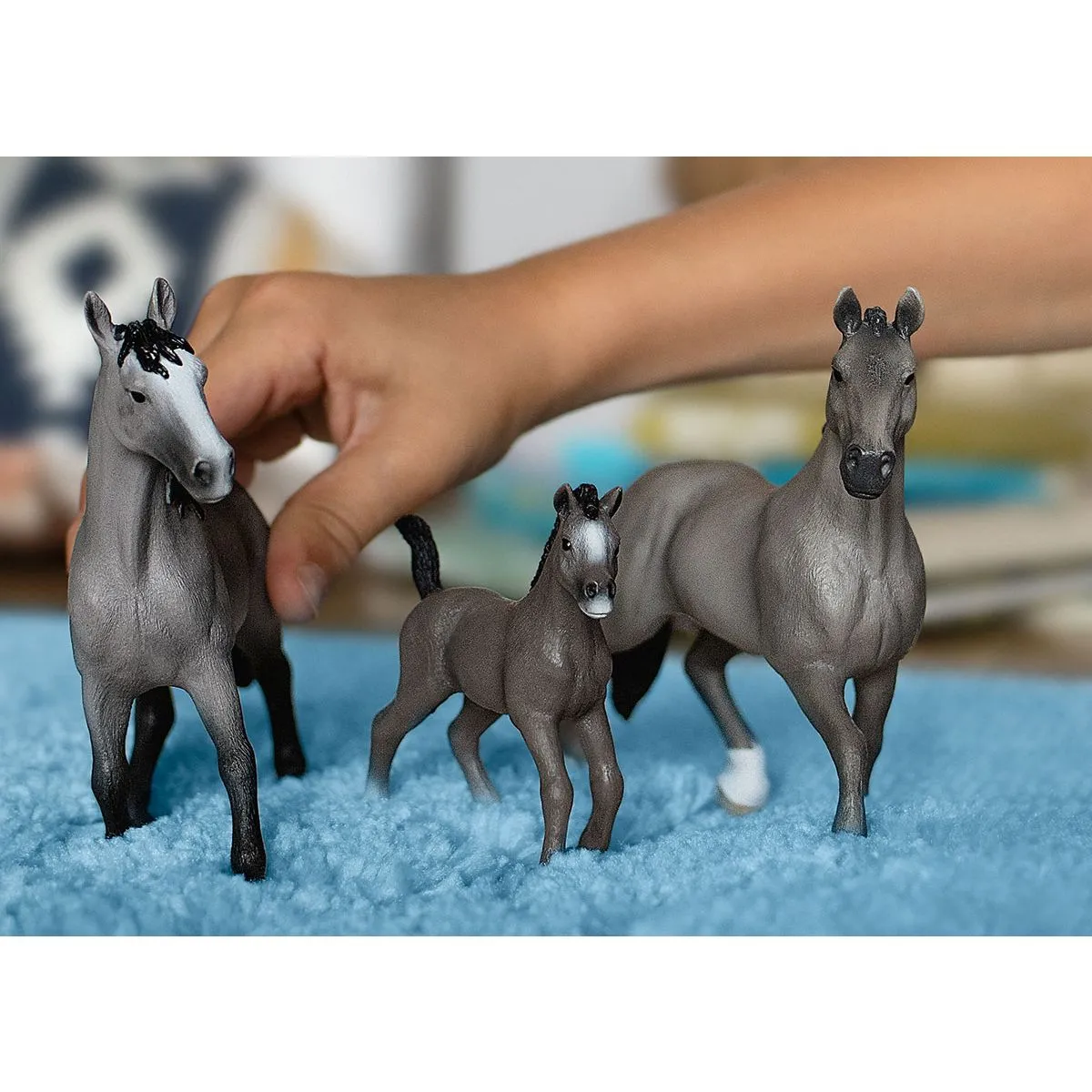 Schleich 13957 Zvířátko - Hříbě plemene Selle Français