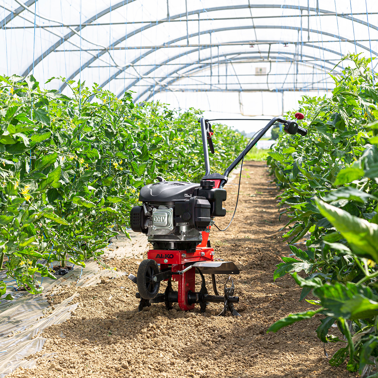 Kultivátor benzínový MH 360 AL-KO 113969