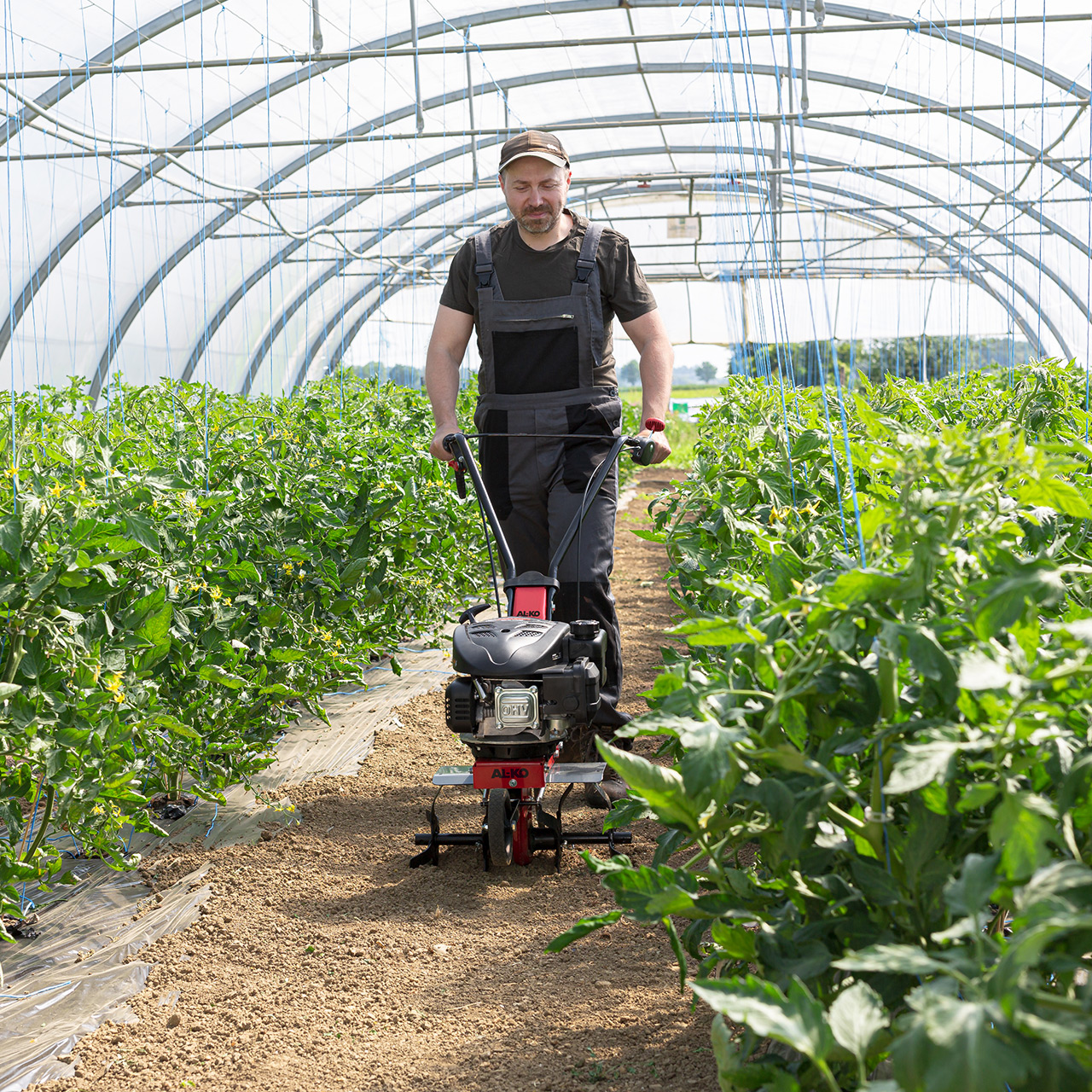 Kultivátor benzínový MH 360 AL-KO 113969