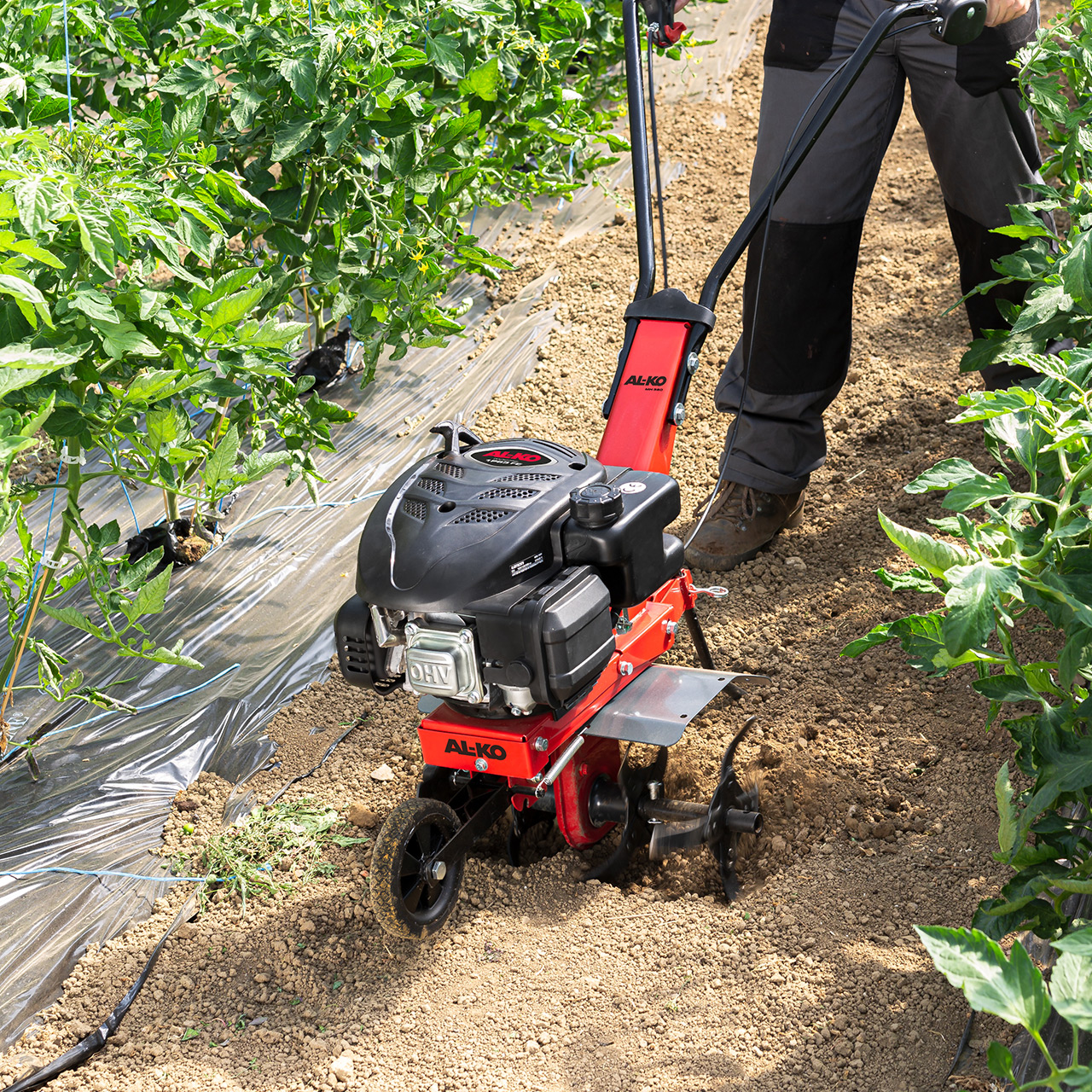 Kultivátor benzínový MH 360 AL-KO 113969