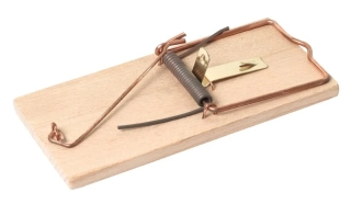 BROS pastička na myši dřevěná 1ks