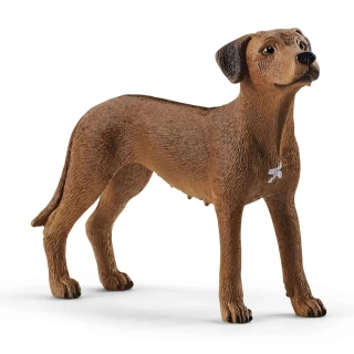 Schleich 13895 Zvířátko - pes ridgback rhodéský