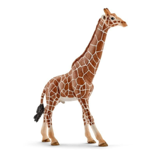 Schleich 14749 Zvířátko - samec žirafy