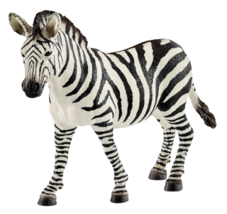 Schleich 14810 Zvířátko - zebra samice