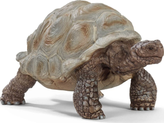 Schleich 14824 Zvířátko - želva obrovská
