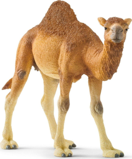 Schleich 14832 Zvířátko - dromedár