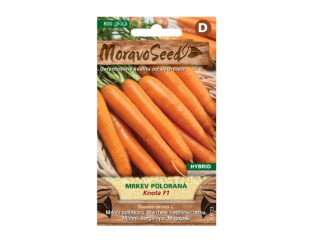 Mrkev poloraná KNOTA F1 - hybrid 63723 (D)