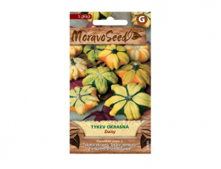 Tykev okrasná DAISY 00889 (G)