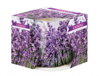 Svíčka ve skle LAVENDER vonná 100g/potisk