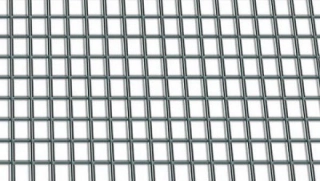 Pletivo svařované 10x10x0.8mm 1x25m PZ Euro SITEX